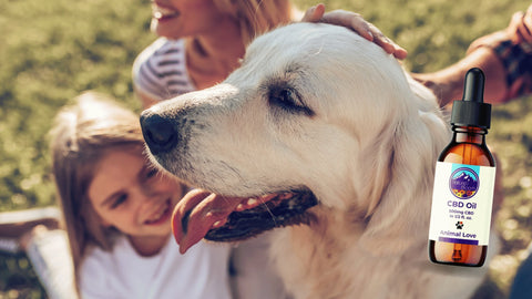 CBD for Pets: A Natural Path to Better Health and Happiness - Nature's Bloom CBD